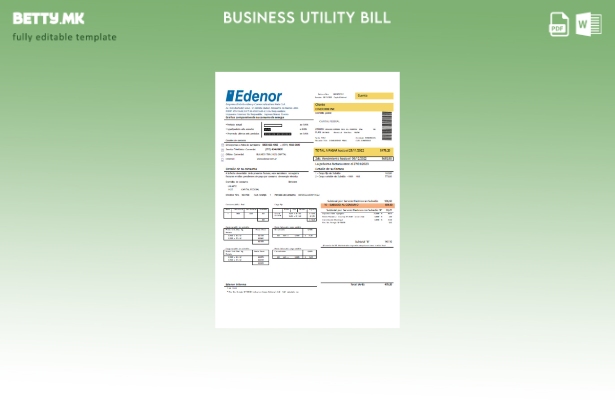 Модерен стил на Edenor шаблон за деловни сметки за комунални услуги, лесен за по